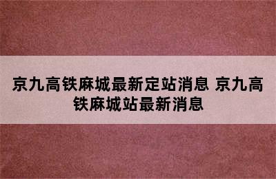 京九高铁麻城最新定站消息 京九高铁麻城站最新消息